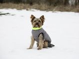 Agrihealth Charmonix Quilted Dog Jacket Grey/Neon Yellow
