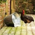 Agrihealth Metallic Poultry Bucket Drinker