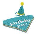 Ancol Pawty Time Blue Party Hat & Bandana Set for Dogs