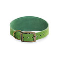Ancol Timberwolf Hound Dog Collar Green