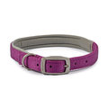 Ancol Viva Padded Collar Purple for Dogs