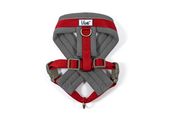Ancol Viva Padded Dog Harness Red
