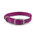Ancol Viva Purple Dog Collar