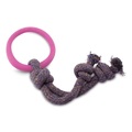 Beco Natural Rubber Hoop on Rope Dog Toy Pink