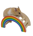Boredom Breaker Small Rainbow Play Bridge for Small Animals