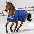 Bucas Atlantic Big Neck 50 Turnout Rug Navy