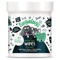 Bugalugs Dental Care Wipes