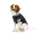 BUSTER Body Suit for Dogs & Cats