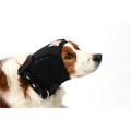 Buster Ear Cover for Dogs