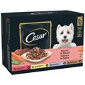 Cesar Deliciously Fresh Dog Pouches Favourites in Sauce
