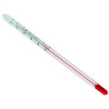 Chicktec Glass Stem Thermometer 6"
