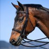 Classic Double Bridle L.Rein Brown