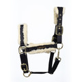 ColdStream Langlee Luxury Head Collar & Lead Rope Navy for Horses