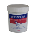 Dermoline Soothing Throat Syrup For Horses
