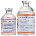 Dexa-ject 2 mg/ml Solution for Injection for Cattle, Horses, Pigs, Dogs & Cats