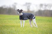 Digby & Fox Waterproof Greyhound Dog Coat Indigo