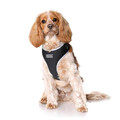 DOOG Neosport Soft Dog Harness Black