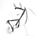 Equipe Emporio Figure 8 Padded Bridle With Stitching Newmarket