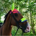 Equisafety Hi Vis Pink & Yellow Ear Bonnet
