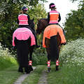Equisafety Hi Viz Reflective Horse Orange Summer Sheet