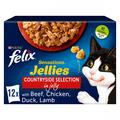 Felix Sensations Jellies Meat Cat Food