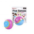 Five Senses Sensory Ball