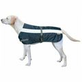 Flecta Hi-Vis Dog Jacket Blue