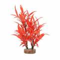 Fluval Aqualife Intense Red Hygrophila Plant