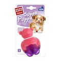 GiGwi Suppa Puppa Bear with Squeaker for Puppies and Small Dogs Pink