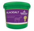 Global Herbs Blacksalt for Horses