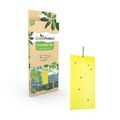 Green Protect Yellow Insect Trap