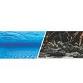 Hagen Marina Double Sided Aquarium Background - Sea Scape/Natural Mystic - 61 cm x 7.6 m (24" x 25 ft)