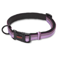Halti Purple Collar for Dogs