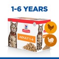 Hill's Science Plan Adult Wet Chicken & Turkey Cat Food Multipack