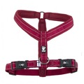 Hurtta Casual Lingon Red Padded Dog Y-Harness
