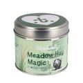 Hy Equestrian Thelwell Collection Candle Meadow Hay Magic