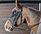 Hy Riding Fly Mask