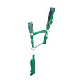 Hy Sport Active Head Collar & Lead Rope for Horses Alpine Green