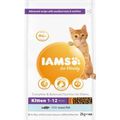 Iams for Vitality Kitten Food with Fish