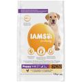 IAMS for Vitality Large Breed Puppy Food with Fresh Chicken