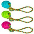 James & Steel TPR Ball on Cotton Rope Dog Toy