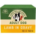 James Wellbeloved Adult Lamb in Gravy Dog Food Pouches