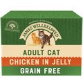 James Wellbeloved Adult Grain Free Chicken Cat Food