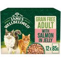 James Wellbeloved Grain Free Adult with Salmon in Jelly Pouches