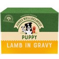 James Wellbeloved Puppy Lamb in Gravy Pouches