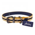 Joules For Dapper Dogs Coastal Nylon & Leather Backed Dog Collar