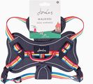 Joules Rainbow Harness for Dogs