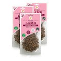JR Pet Products Pure Lamb Training Treats for Dogs