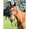 Kincade Classic Flat Hunt Bridle with Reins Brown for Horses