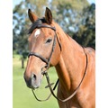 Kincade Classic Plain Raised Cavesson Bridle with Reins Brown for Horses
